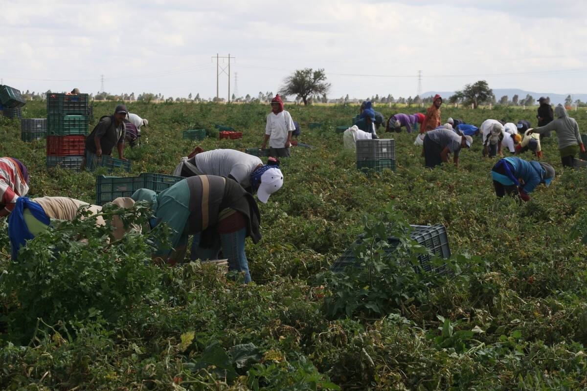 ¿Por qué en México utilizamos la palabra 'chamba'?