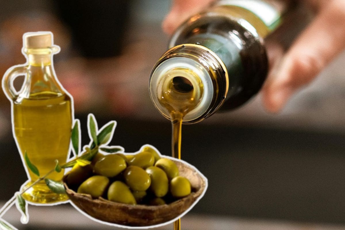 Así debes guardar tu aceite de oliva en casa para mantener sus propiedades saludables