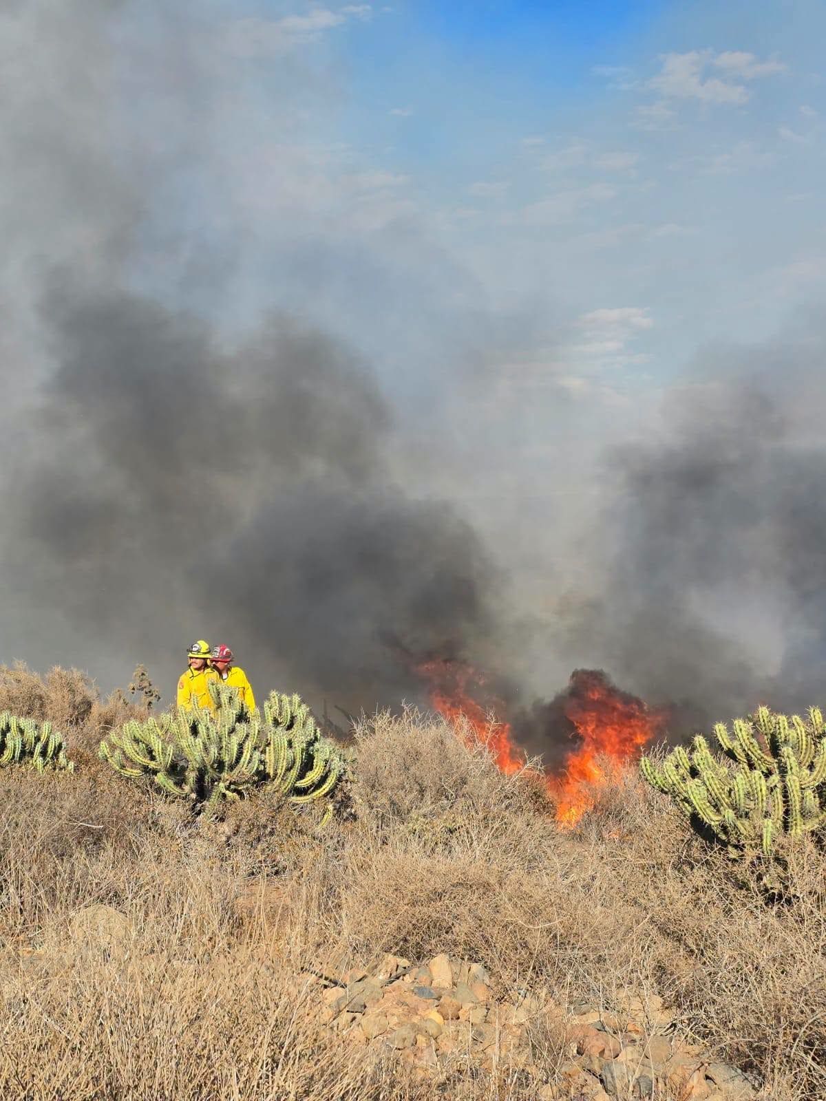 El incendio afectó aproximadamente 15 hectáreas de vegetación en el arroyo San Simón, San Quintín. Foto: Cortesía