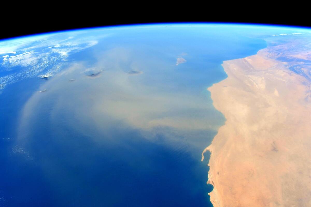 Polvo del desierto del Sahara: Por este fenómeno anuncian atardeceres espectaculares para Florida