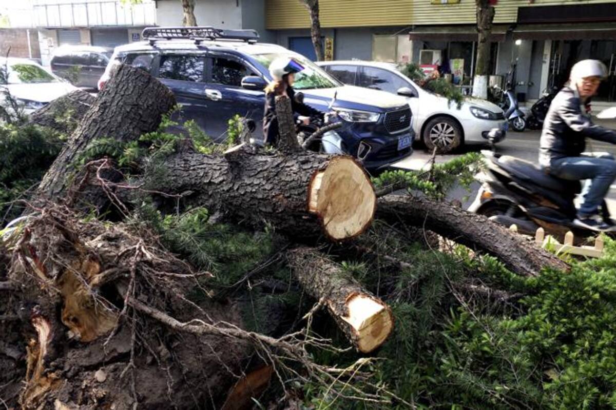 China: fuerte tormenta deja 11 muertos y 66 heridos