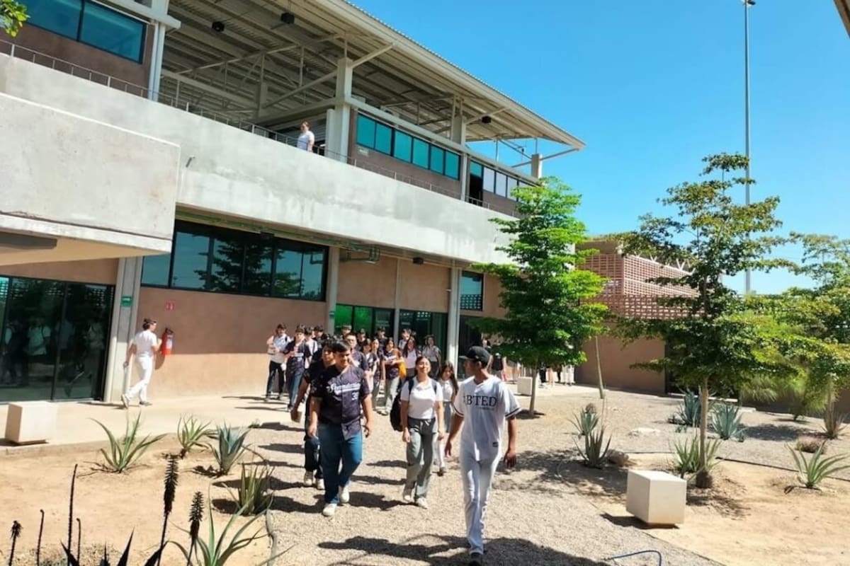 Han firmado a 12 jóvenes del BTED de Ciudad Obregón en diversos equipos de béisbol en México y Estados Unidos