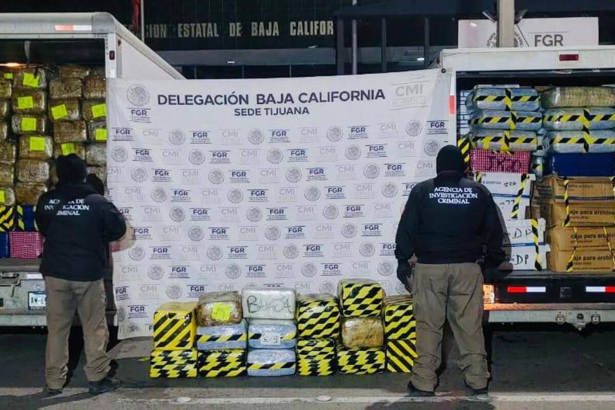 Aseguran más de 5 toneladas de mariguana en cateo en el Murúa