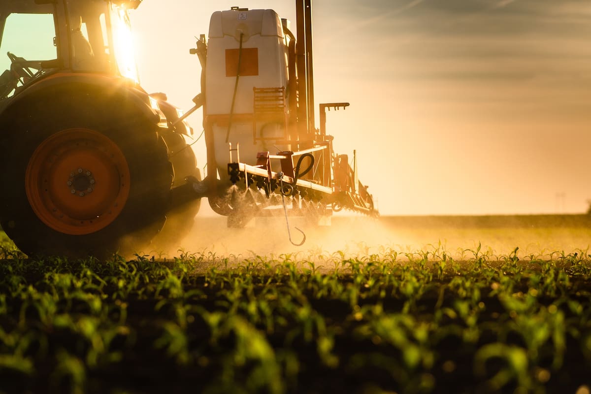 Microorganismos benéficos: clave para la agricultura y la seguridad alimentaria