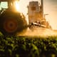 Microorganismos benéficos: clave para la agricultura y la seguridad alimentaria