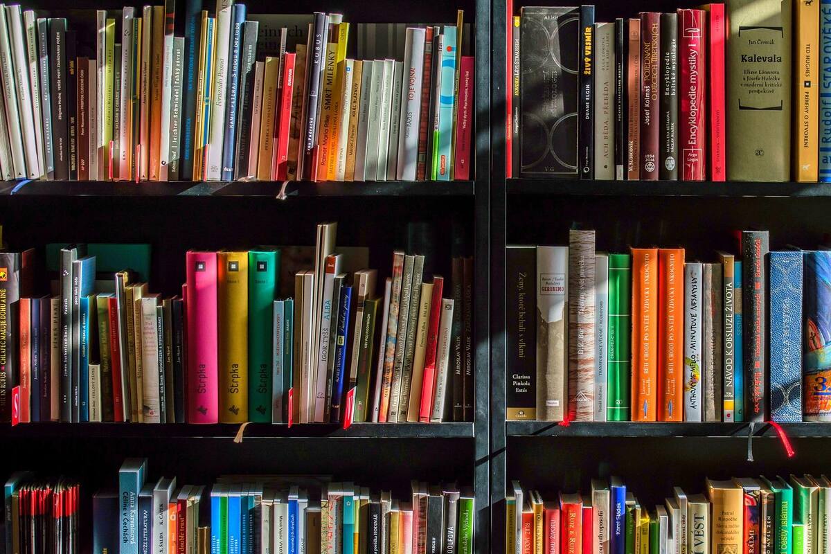 Día de la mujer: Autoras de la teoría literaria feminista