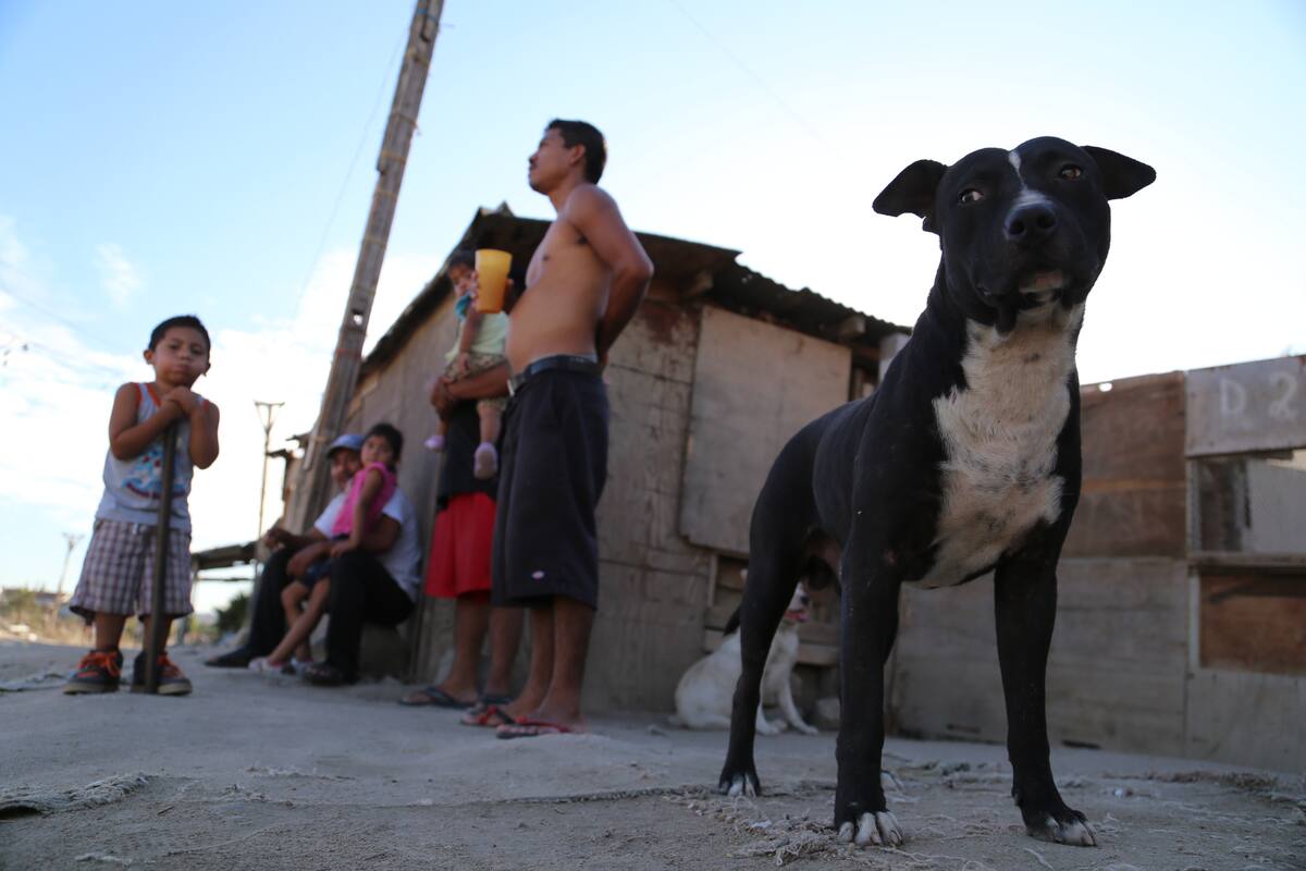 Pobreza afecta aspiraciones de niños