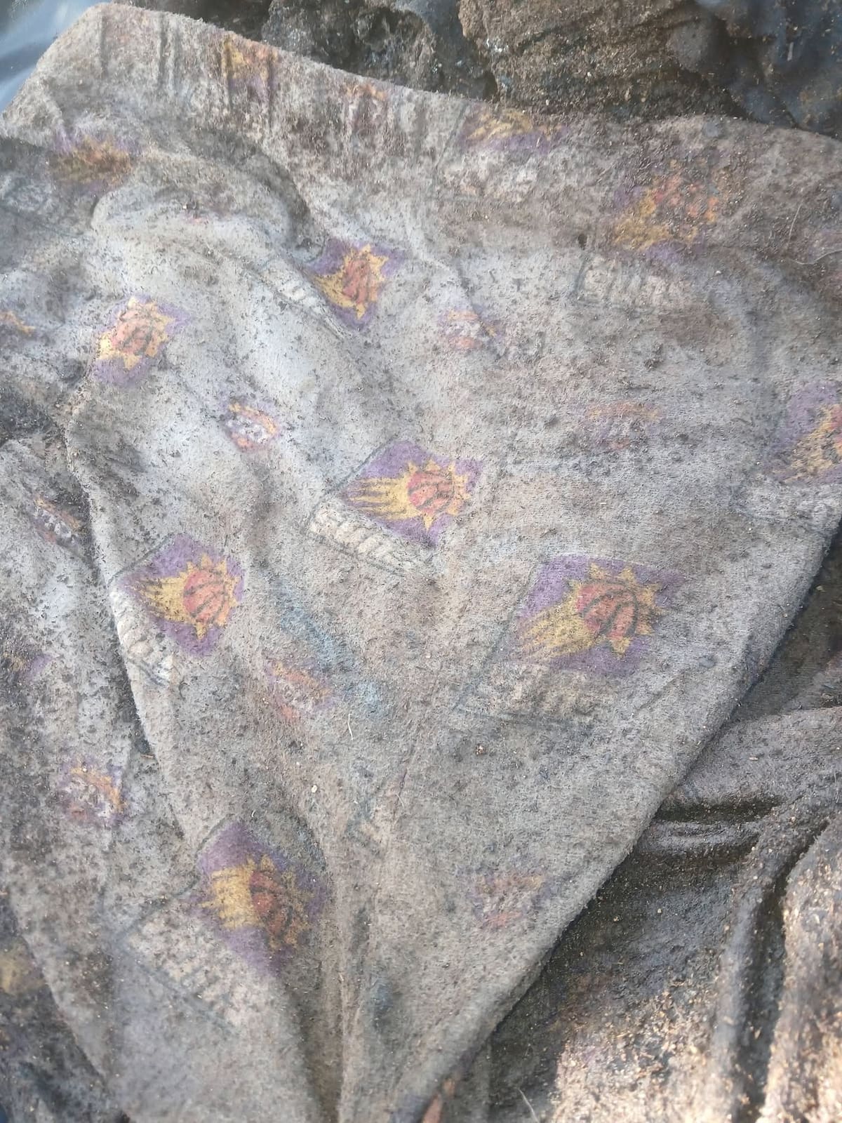 El colectivo Buscadoras de la Frontera informó el hallazgo de una fosa clandestina en un predio despoblado al poniente de Nogales