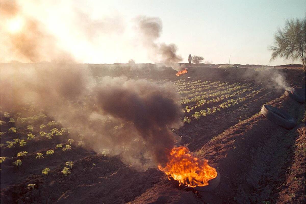 Sancionan a dueños de campos agrícolas