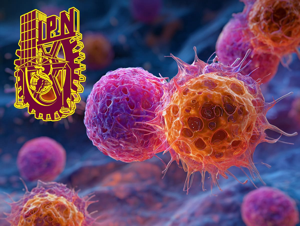 ¡Orgullo mexicano! El IPN humilló a Harvard y al MIT con un invento revolucionario. Desarrollaron un método para imprimir en 3D réplicas exactas de senos a partir de tomografías.