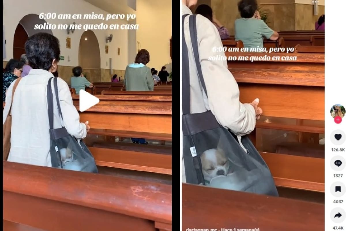 Lo más tierno: Captan a una señora llevando a su perrito a la misa de las seis de la mañana