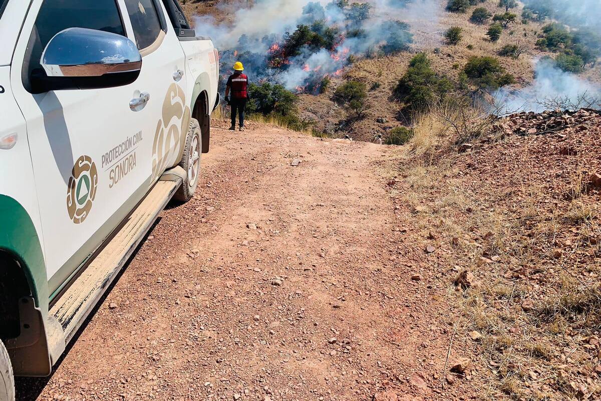Atienden en Sonora protocolos de prevención para control de incendios forestales
