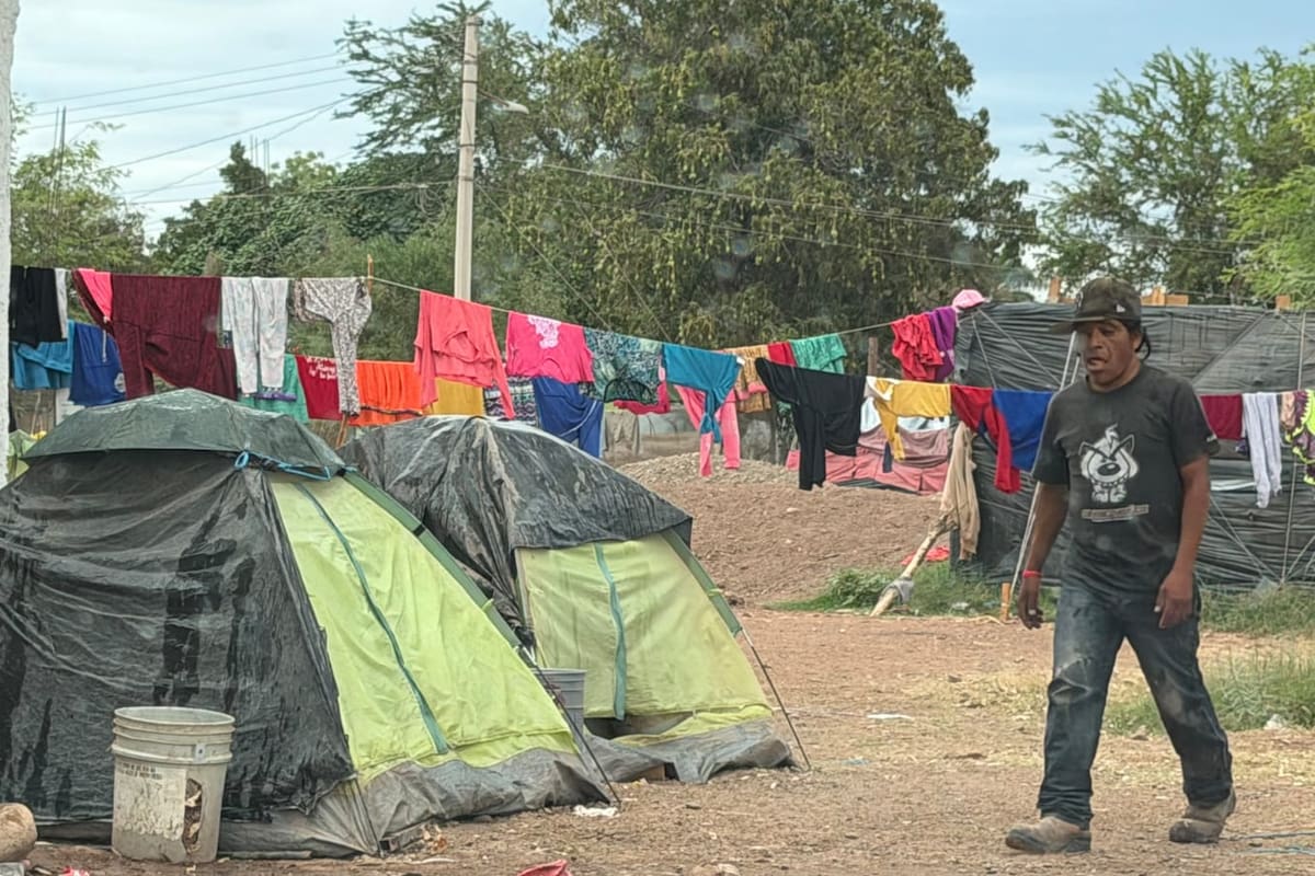 Se instalan jornaleros en campamentos improvisados por temporada de cosecha en el Valle del Yaqui