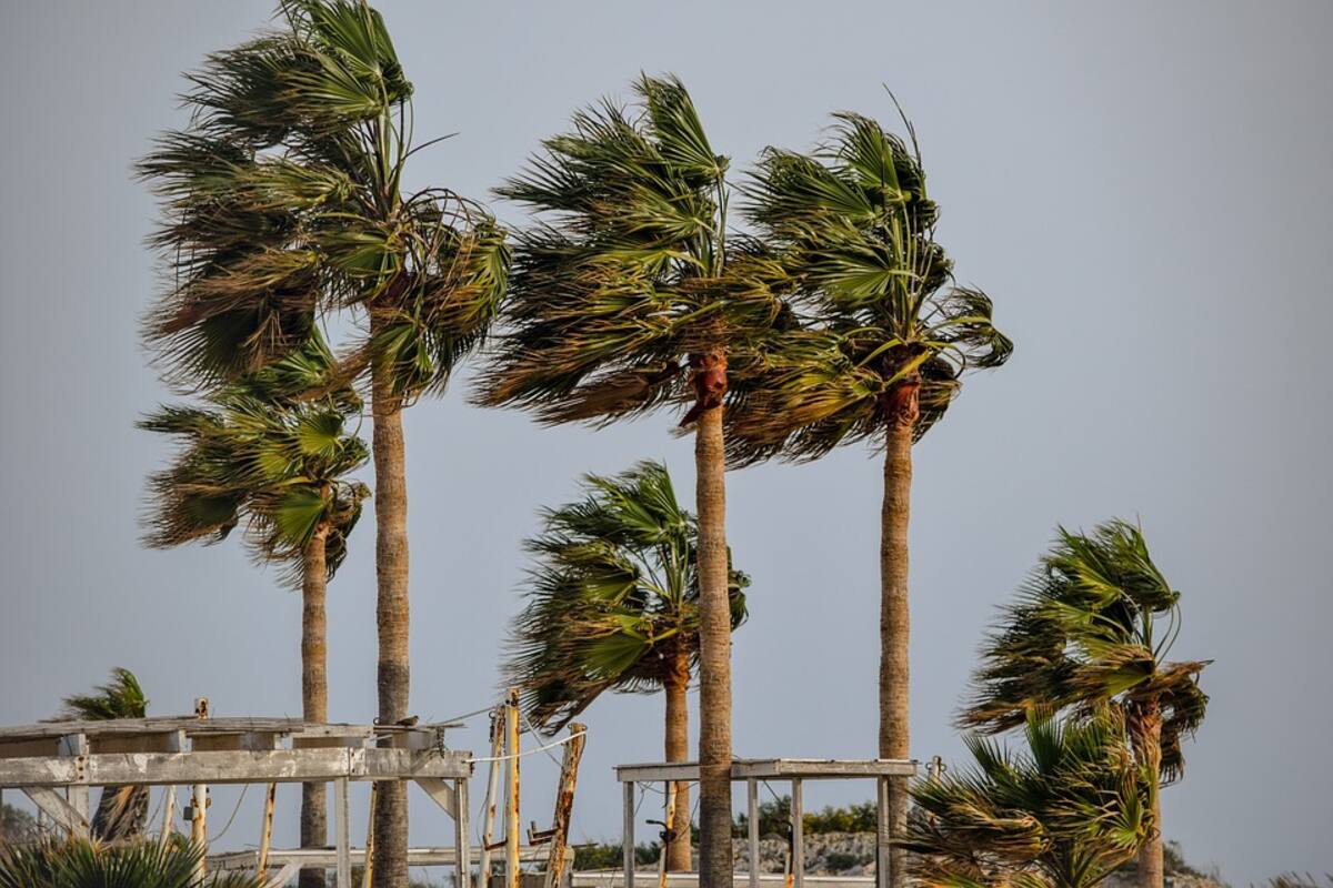 Temporada de tormentas: Se forma tormenta tropical "Elsa" y se dirige hacia el Caribe