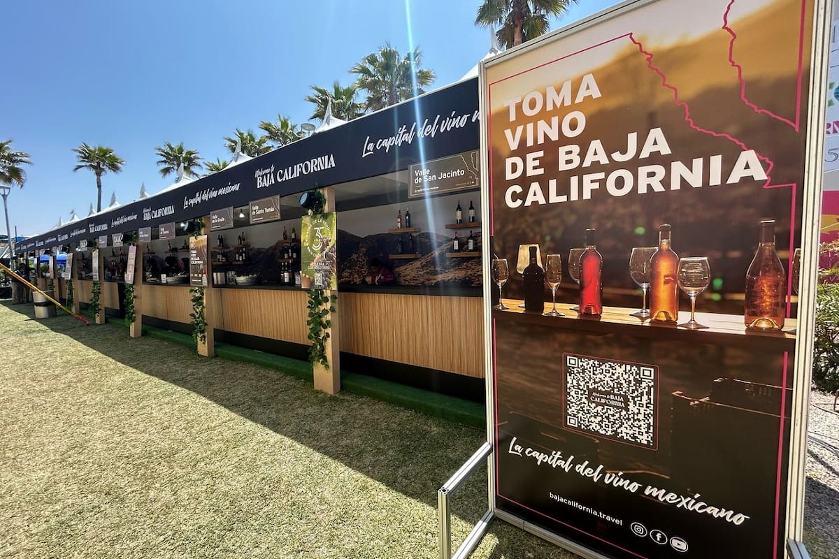 Provino anuncia las Fiestas de la Vendimia 2025