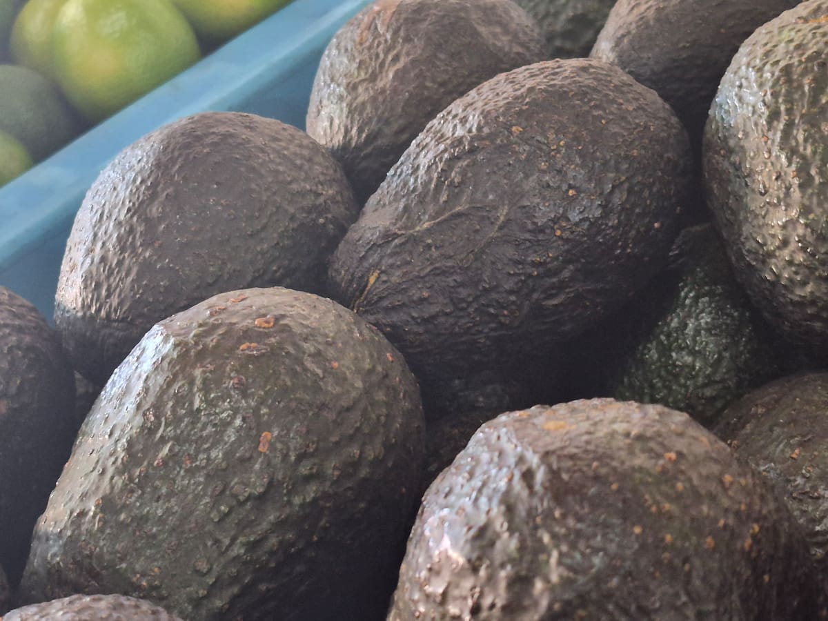 Vendedores locales de frutas y verduras señalaron que esperan mayor movimiento entre viernes y domingo, impulsado por reuniones familiares y precios más bajos que en otras temporadas. Foto: Michelle Castillo