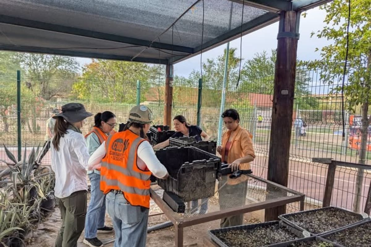 Vivero Universitario tendrá plantas en octubre
