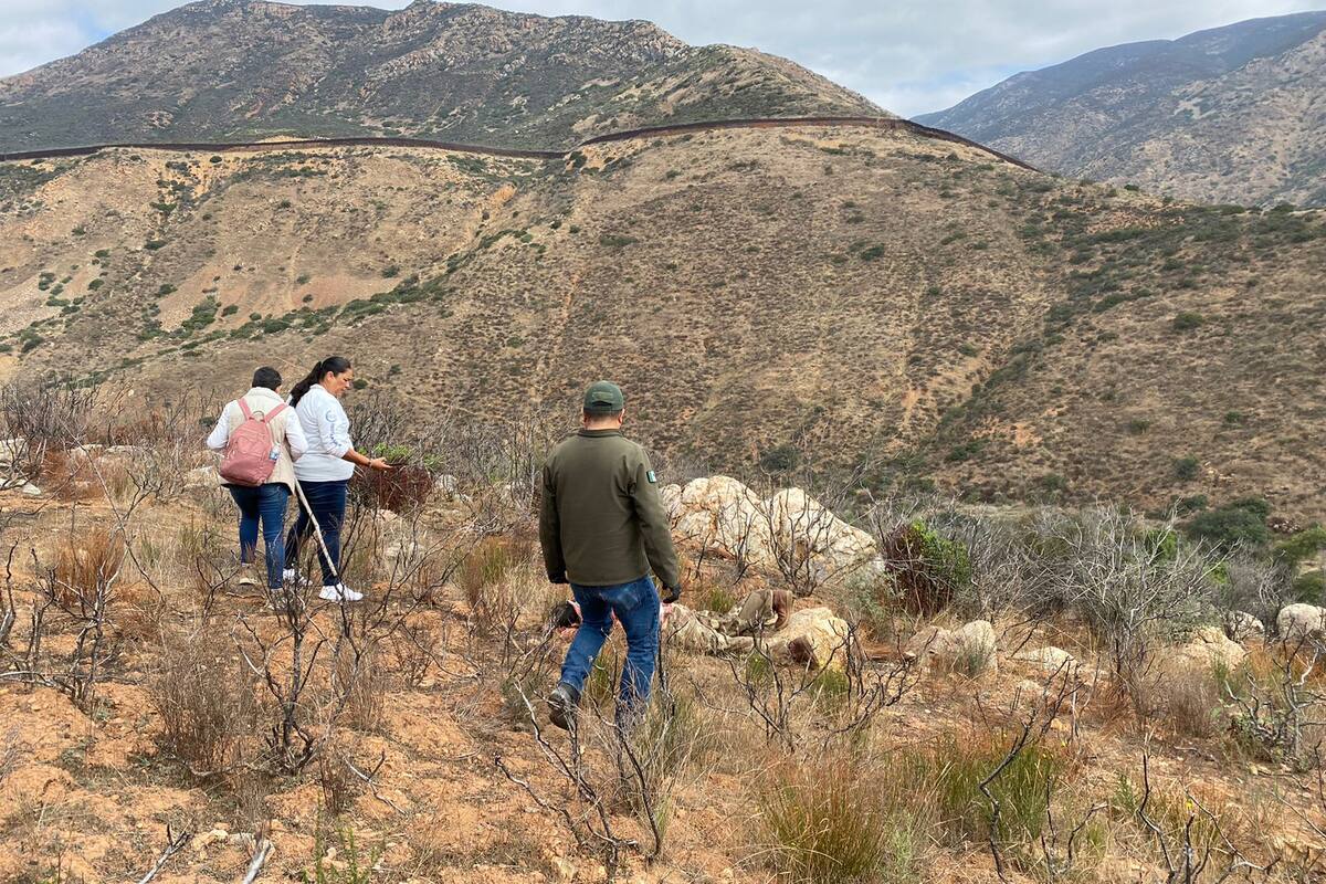 Colectivo colabora con Fiscalía para encontrar desaparecidos