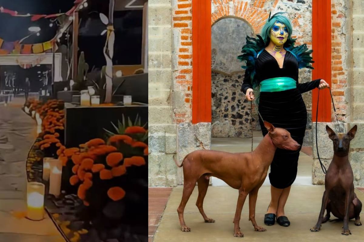 Caminata al Mictlán: Así será el recorrido con perros Xoloitzcuintles y cómo participar en CDMX