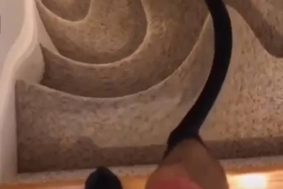 El nuevo y peligroso reto viral de Tik Tok
