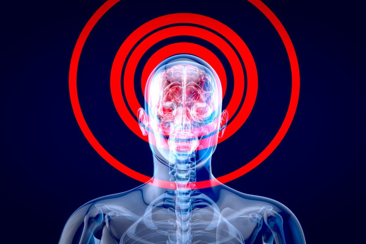 NeuroEXPLORER: el nuevo escáner cerebral que cambia la forma de estudiar el cerebro