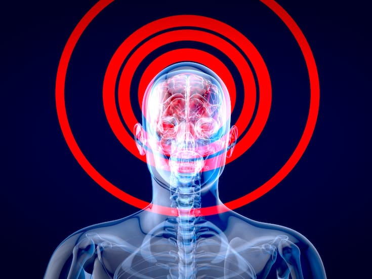 NeuroEXPLORER: el nuevo escáner cerebral que cambia la forma de estudiar el cerebro