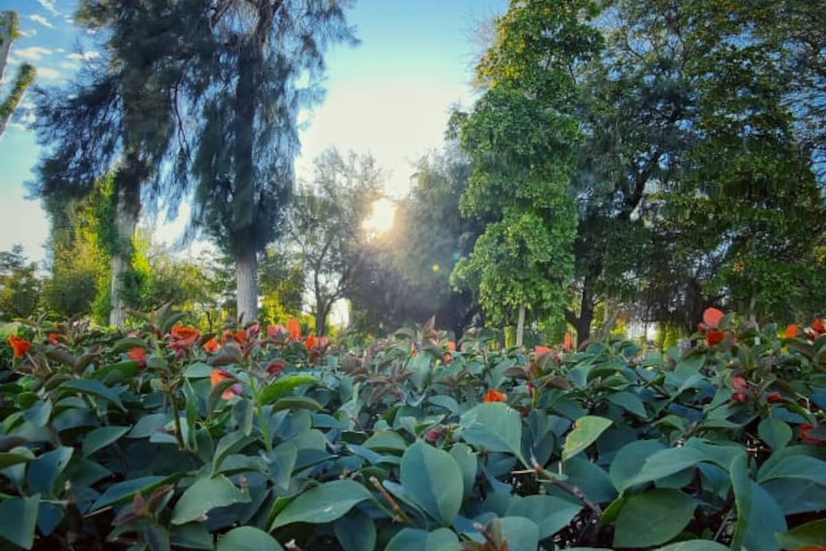 Mexicali arranca la semana con 39 grados y sensación térmica de 40: el calor se intensifica