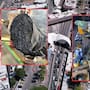 Oficiales de Aduanas decomisan trajes elaborados con plumas y patas de ave en garita de Nogales