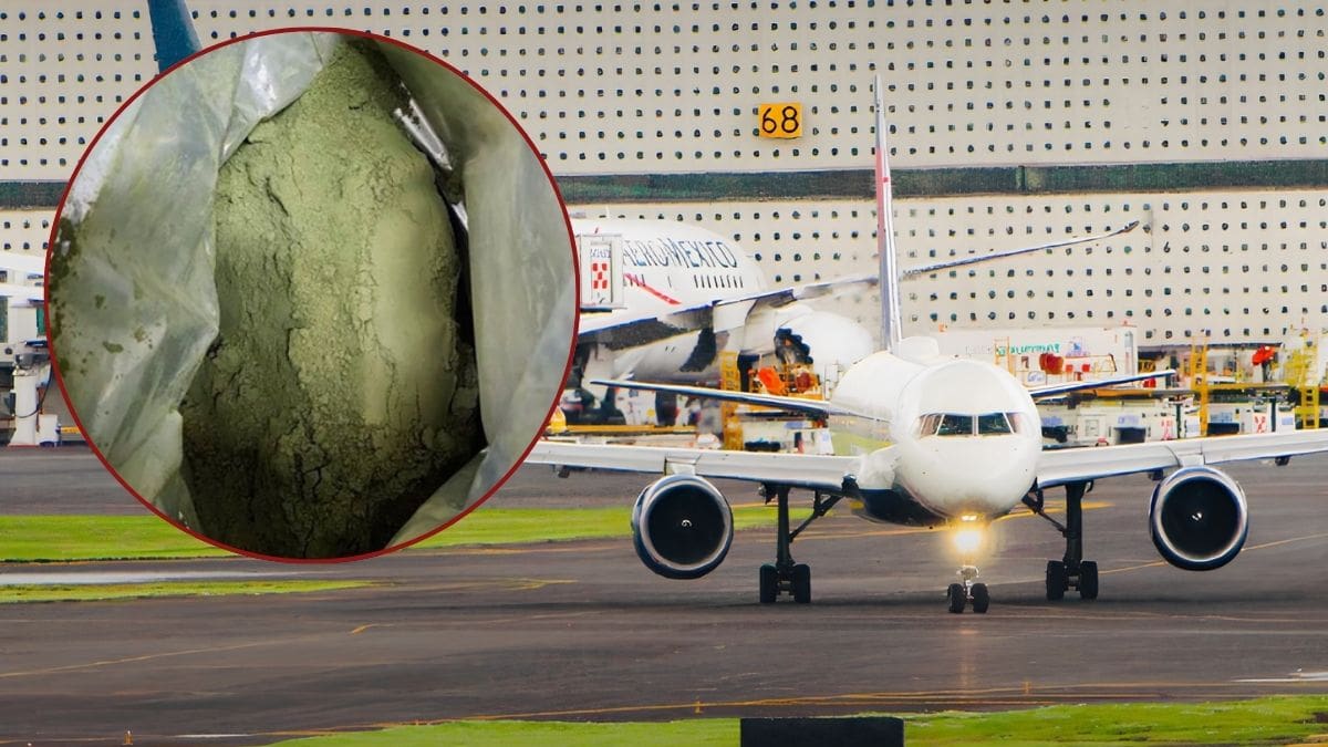 Descubren en aeropuerto de CDMX ocho kilos de hojas de coca ocultos proveniente de Colombia, en un cargamento etiquetado como suplemento alimenticio