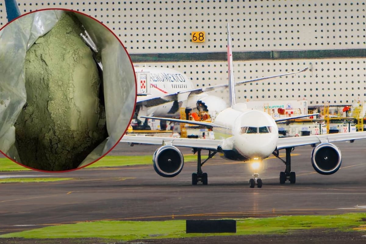 Descubren en aeropuerto de CDMX ocho kilos de hojas de coca ocultos proveniente de Colombia, en un cargamento etiquetado como suplemento alimenticio