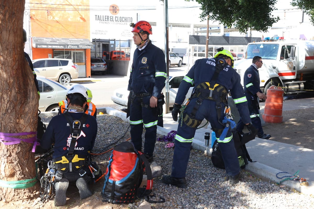 Foto: Teodoro Borbón.