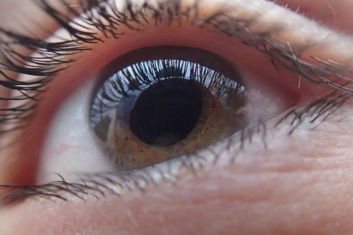 Desarrollan implantes de retina, prometen dar visión artificial a ciegos