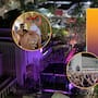 Fiestas del Pitic 2026: ¡Es hoy! arranca la celebración de Hermosillo con 20 foros y más de mil 500 artistas