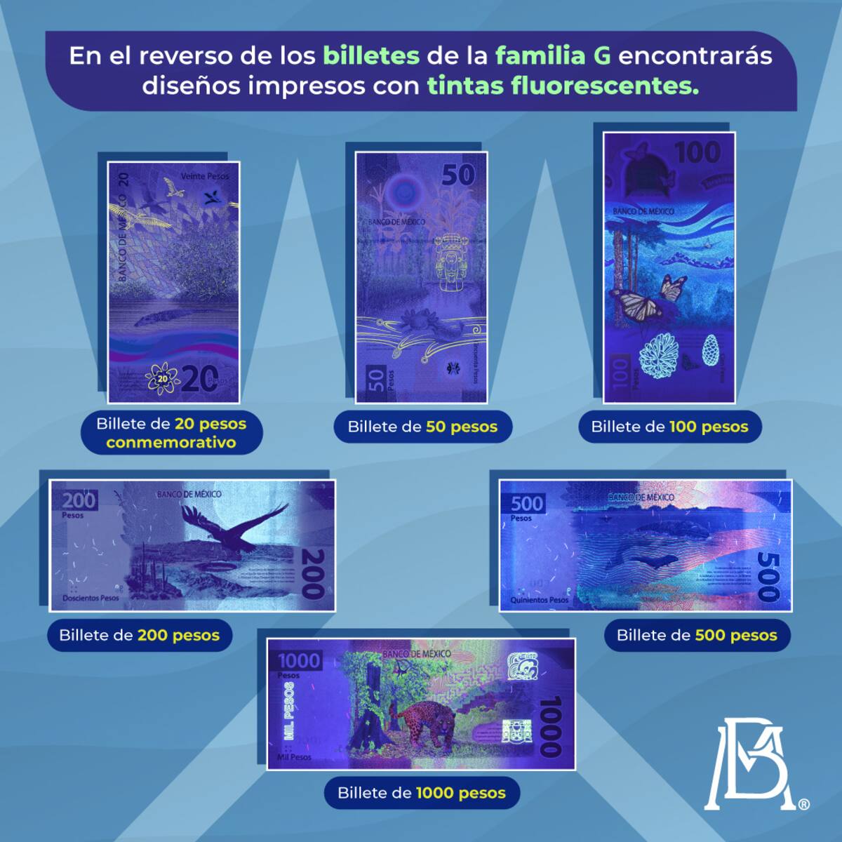 El Banco de México da a conocer que en el reverso de los billetes de la familia G se encuentran diseños con tinta fluorescente como medida de seguridad.