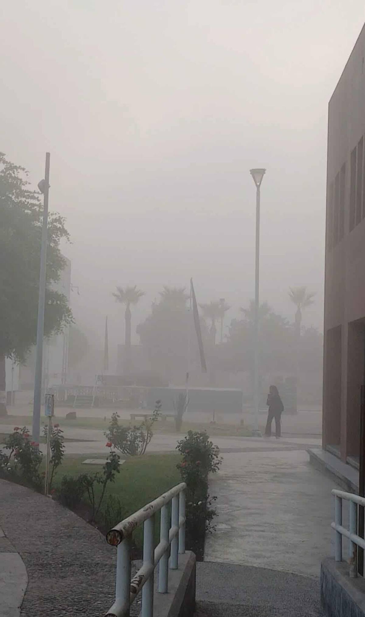 El sur de Sonora despierta entre nubes: neblina sorprende a la población