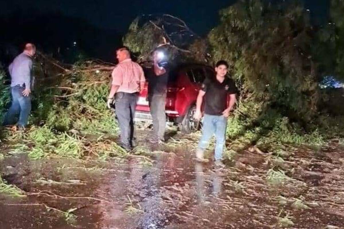 Protección Civil de Cajeme atiende 25 reportes por lluvias