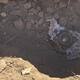 Detectan toma clandestina de hidrocarburo en Rosarito; movilizan a fuerzas de los tres niveles