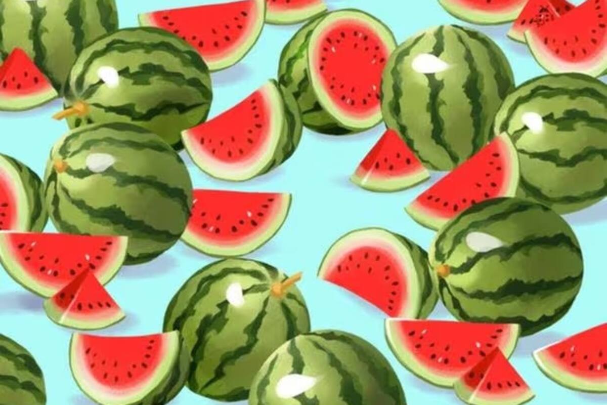 Reto visual: ¿Podrás encontrar en 10 segundos a la catarina entre las sandias?