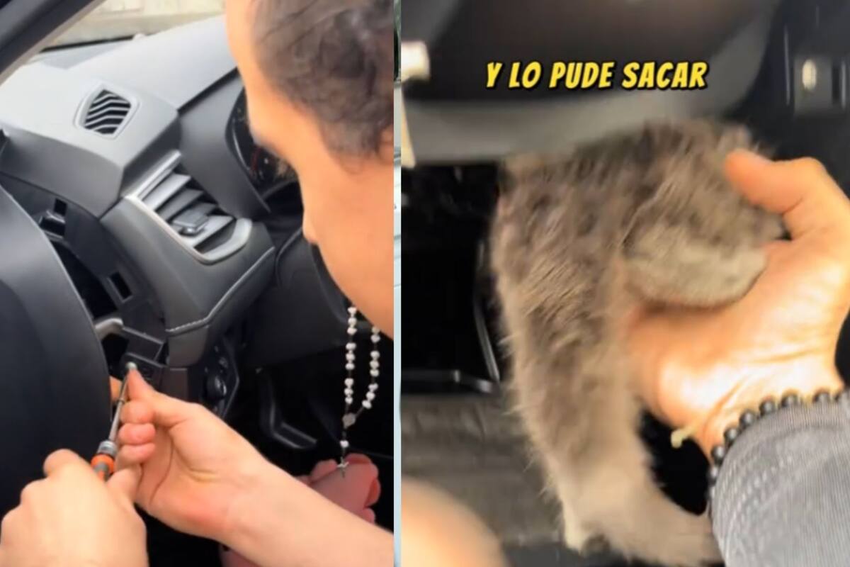 Hombre destruye su carro para intentar rescatar a su gato; se metió en la manejera