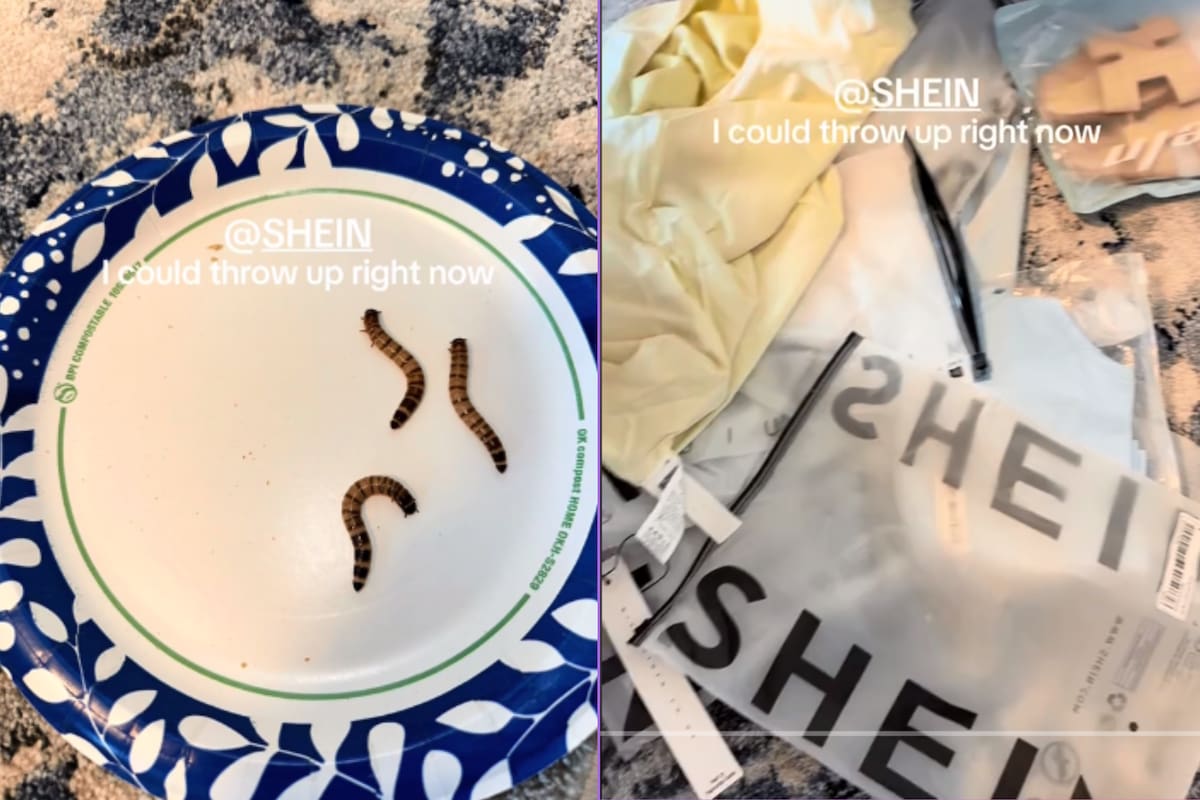 TikTok: Compradora encuentra gusanos vivos en su pedido de Shein