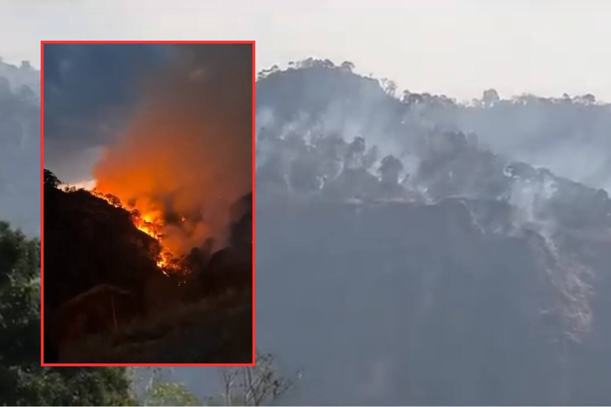 Incendio forestal en el Parque Nacional El Tepozteco, en Morelos: Más de 100 hectáreas afectadas