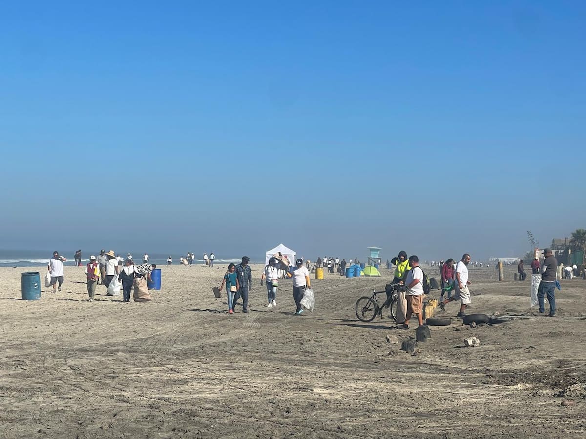 En la limpia participaron al menos 300 vendedores de playa y trabajadores de bares. Foto: Carmen Gutiérrez