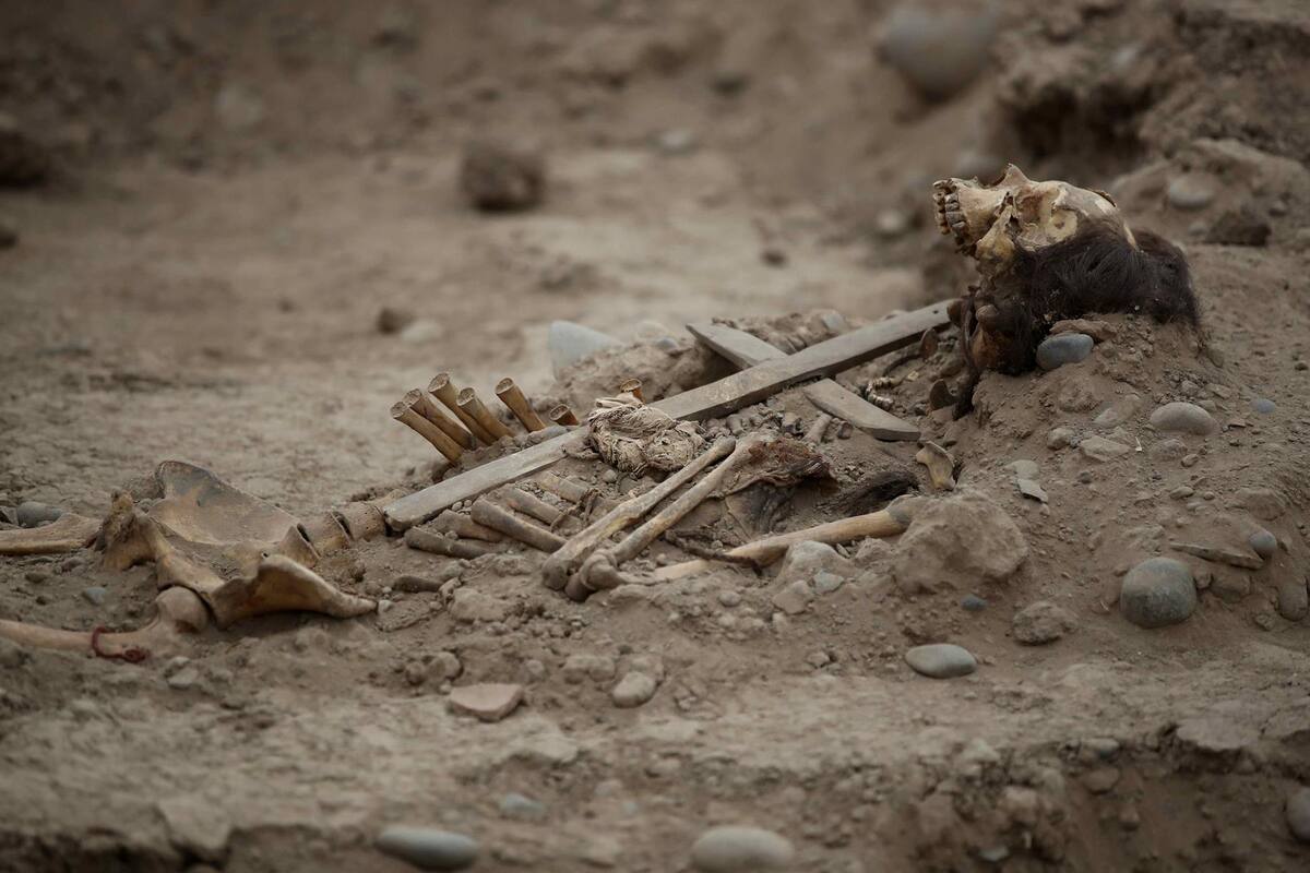 Zoológico de Perú tiene cruz colonial y enigma arqueológico
