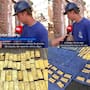 Lo que comenzó como una excavación para instalar tuberías terminó con el descubrimiento de un tesoro millonario en oro que permanece bajo custodia mientras se investiga su origen