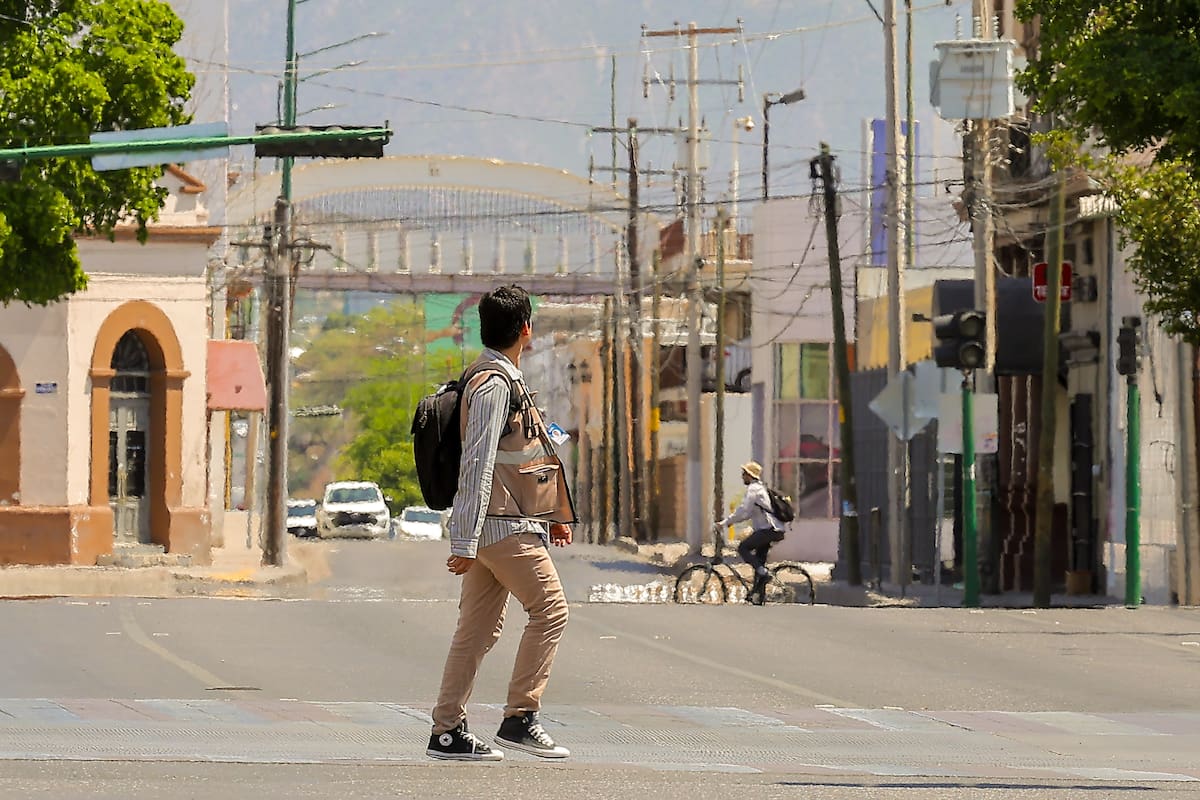 Calor extremo: Sin árboles, la temperatura aumenta hasta 9°C en Hermosillo