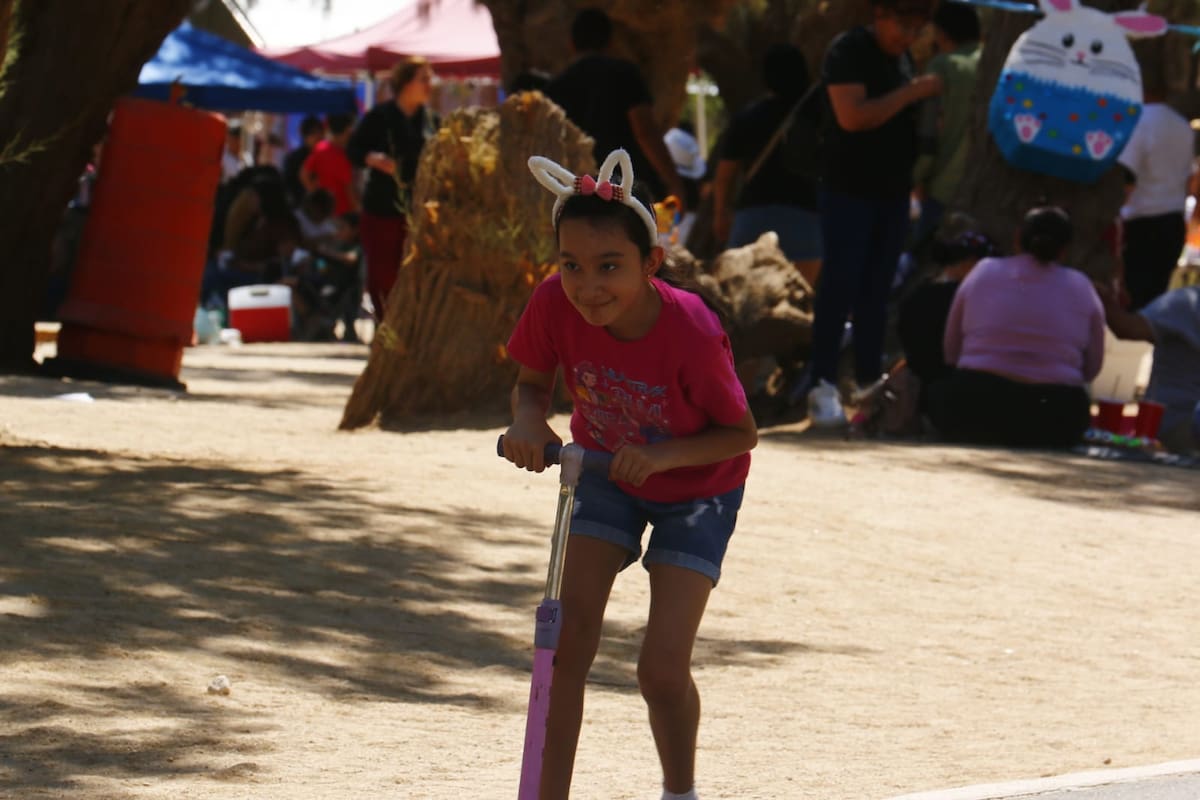 Foto: Saúl Martínez