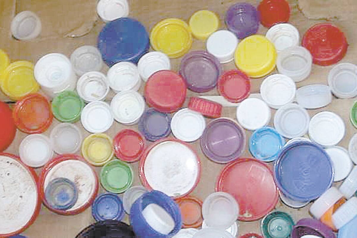 Cultura Verde entrega material reciclable a diferentes asociaciones; invita a seguir apoyando
