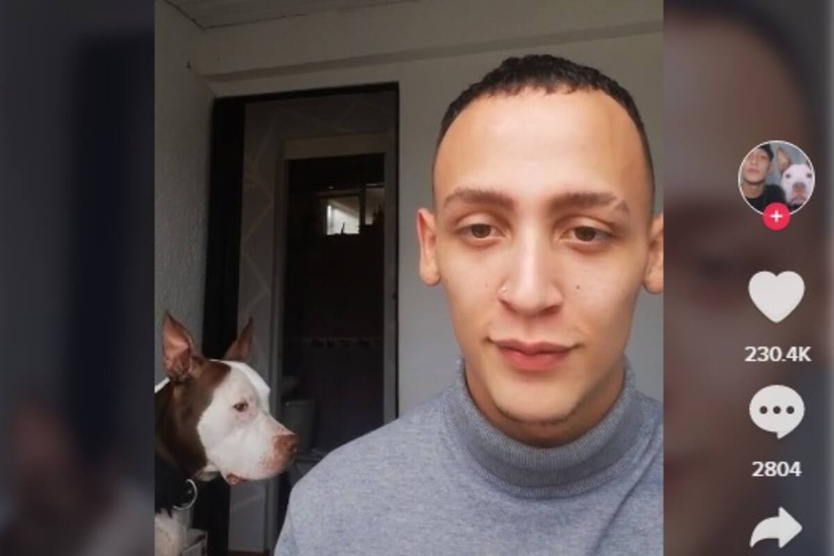 Perrito llora al escuchar canción triste de Adele y se hace viral