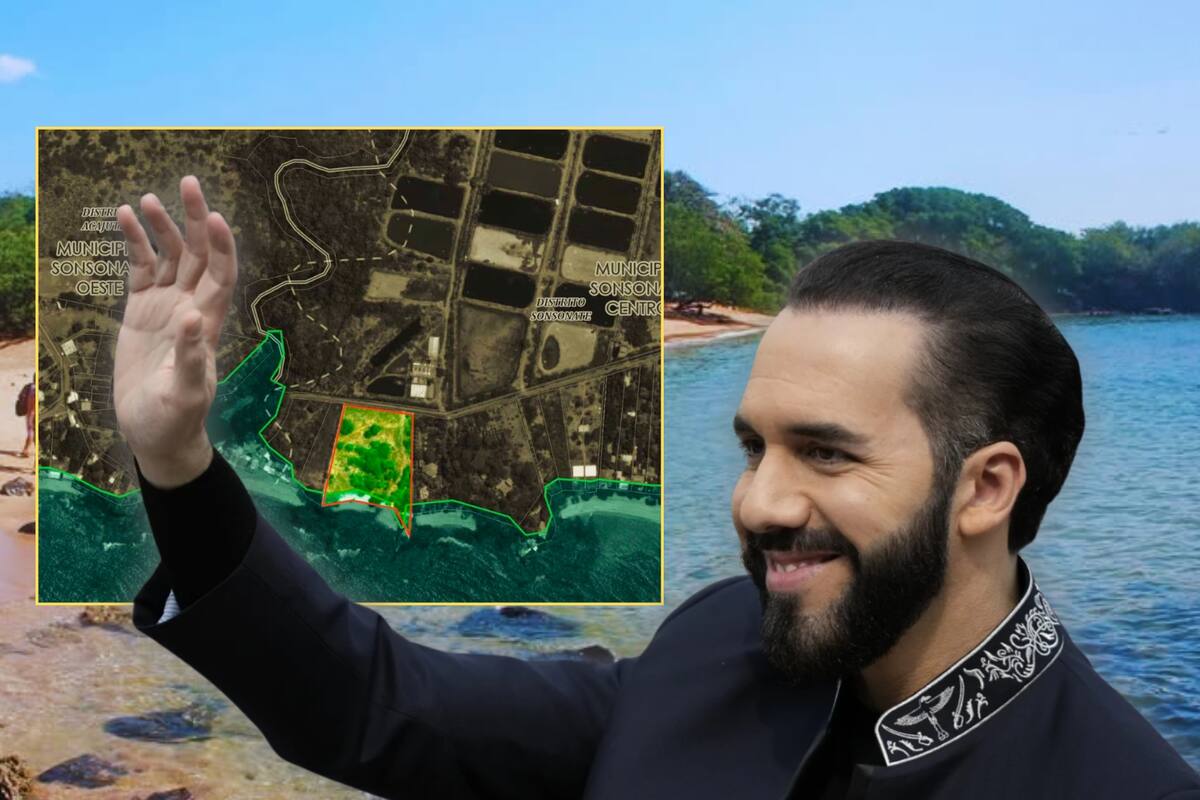 Bukele compró playa en zona protegida de El Salvador por un millón de dólares, según una investigación periodística; por ley, solo pueden desarrollarse actividades de la protección ambiental