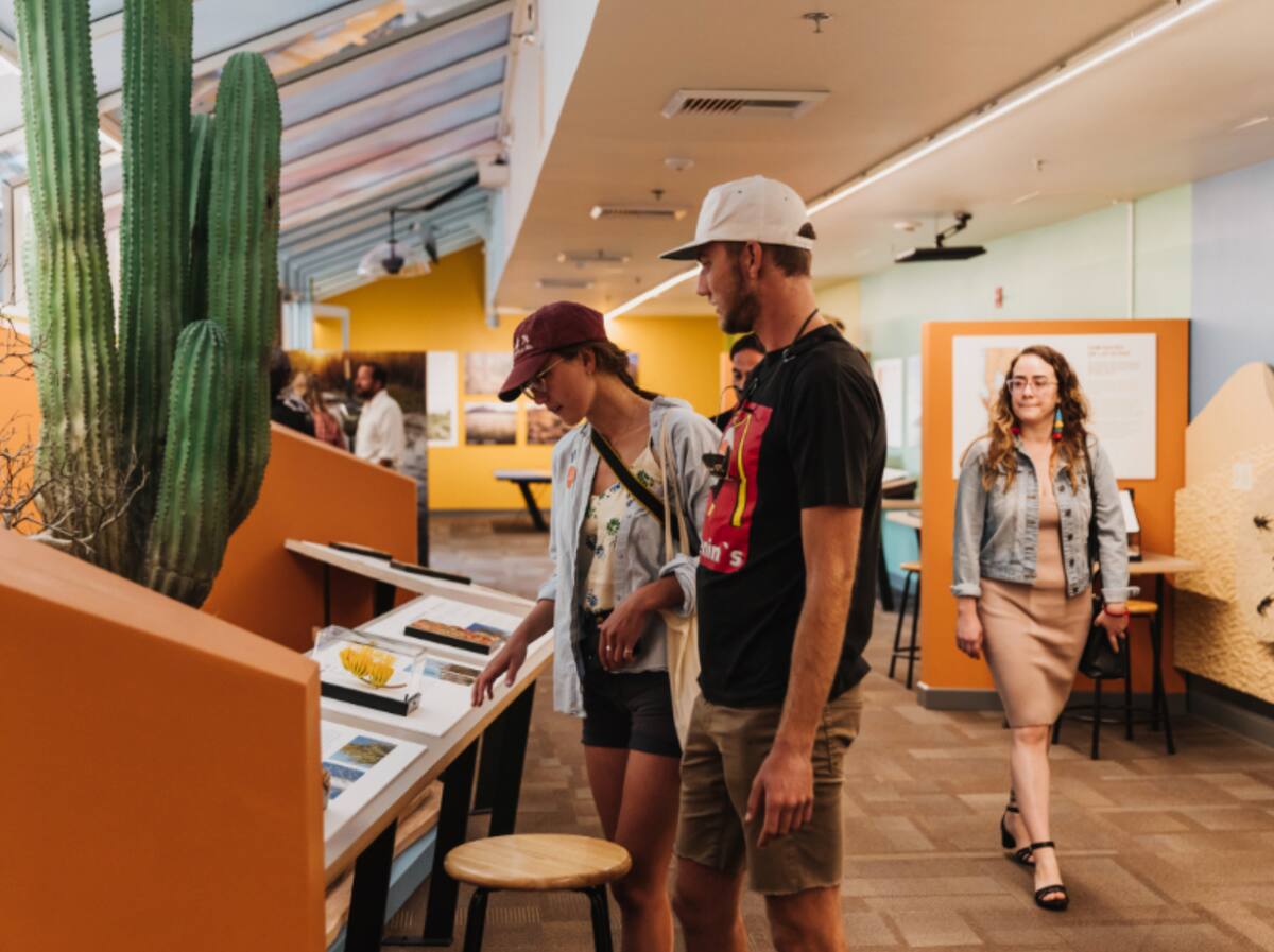 Tras trabajos de renovación, el museo abrirá nuevamente su atrio, el acceso por el árbol de higo, su teatro y gran parte de “Fósiles Misteriosos”. Foto: Cortesía